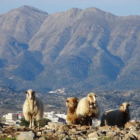 Delina Mountain Crete Island